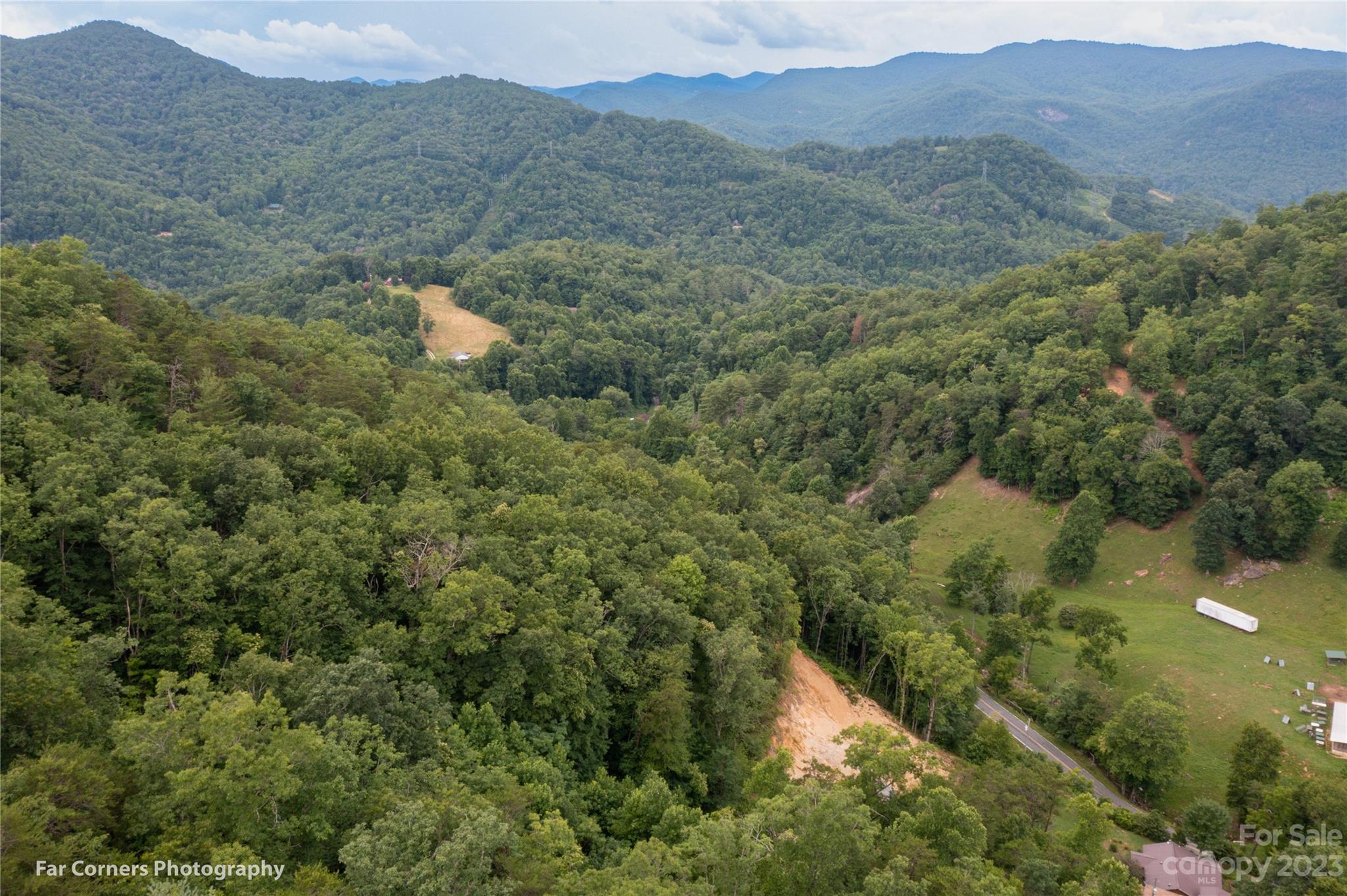 296 Luker Branch Road Tuckasegee, NC 28783 - Photo 10 of 10 a view of a forest with mountains in the background