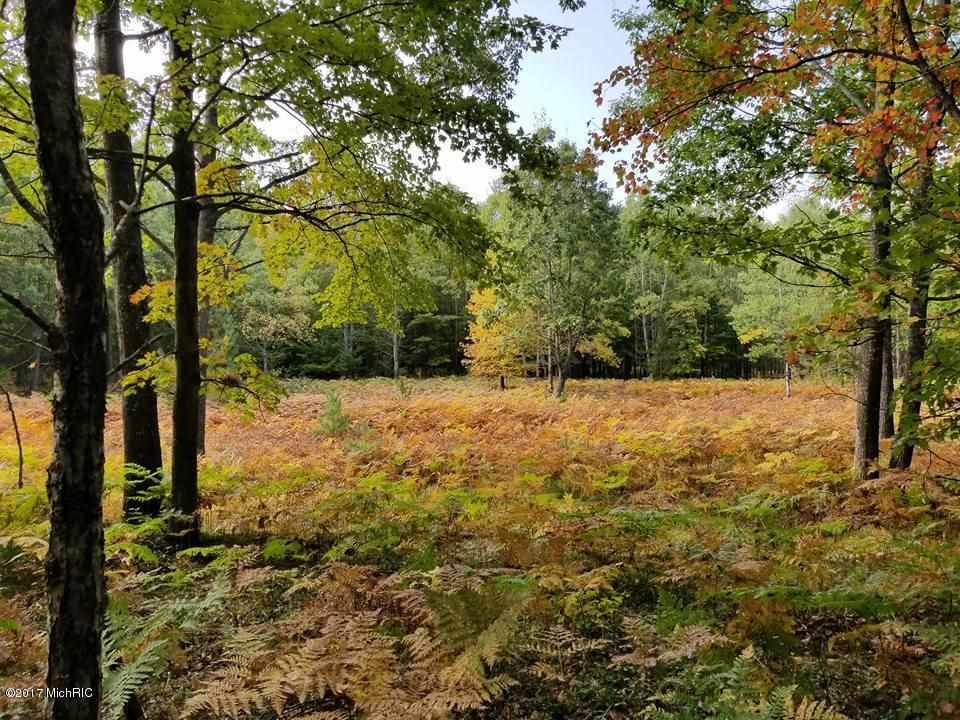 37 1/2 37 1/2 Road Manton, MI 49663 - Photo 2 of 27