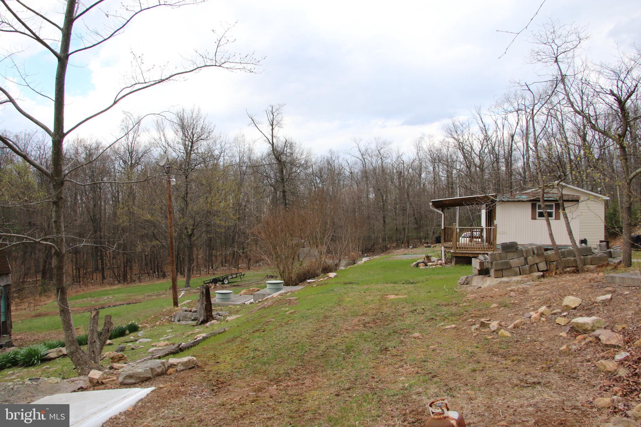680 Sawlog Road Gore, VA 22637 - Photo 12 of 47 a view of a park that has a tree on the side of it