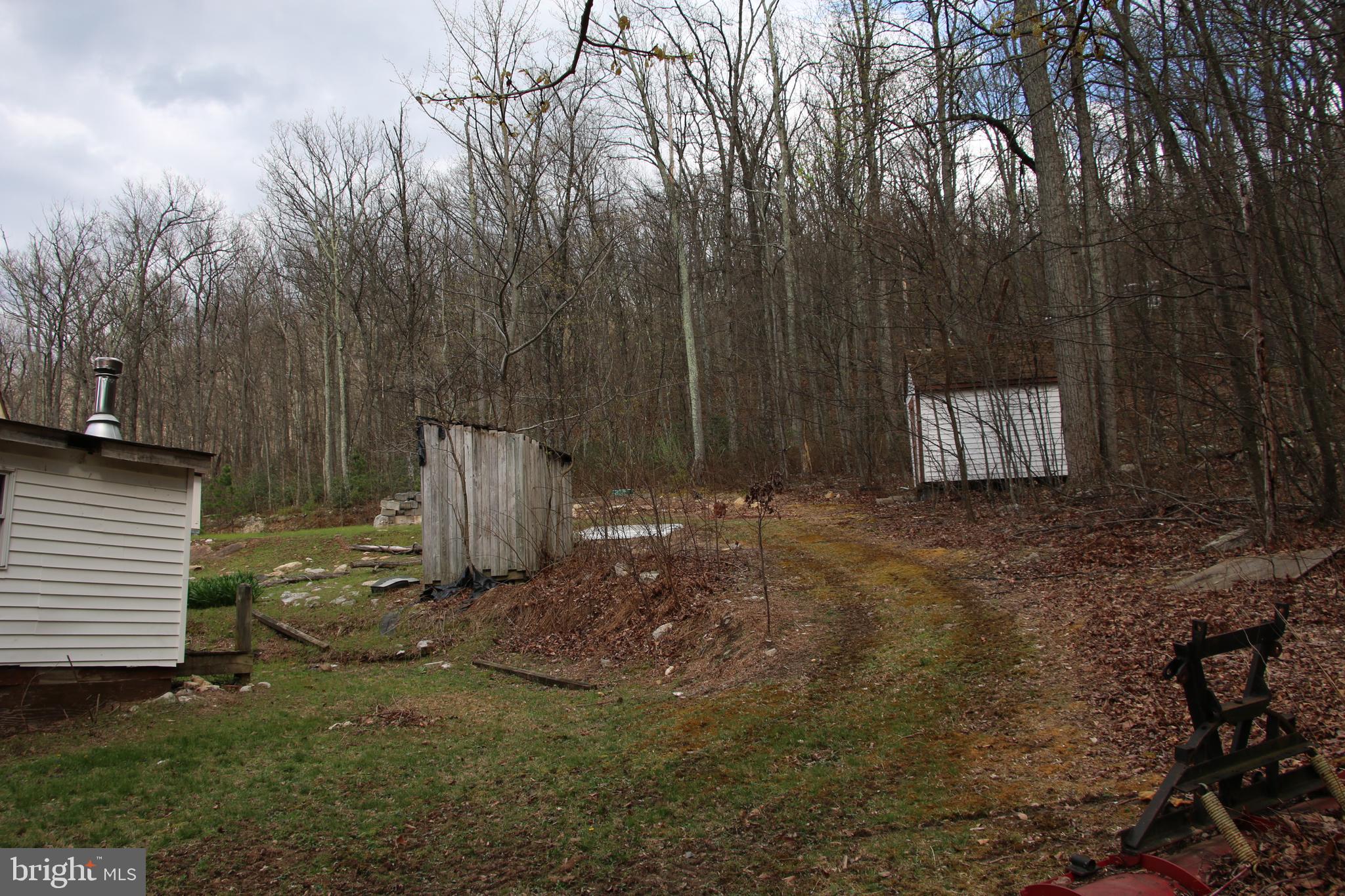 680 Sawlog Road Gore, VA 22637 - Photo 14 of 47 a view of a backyard