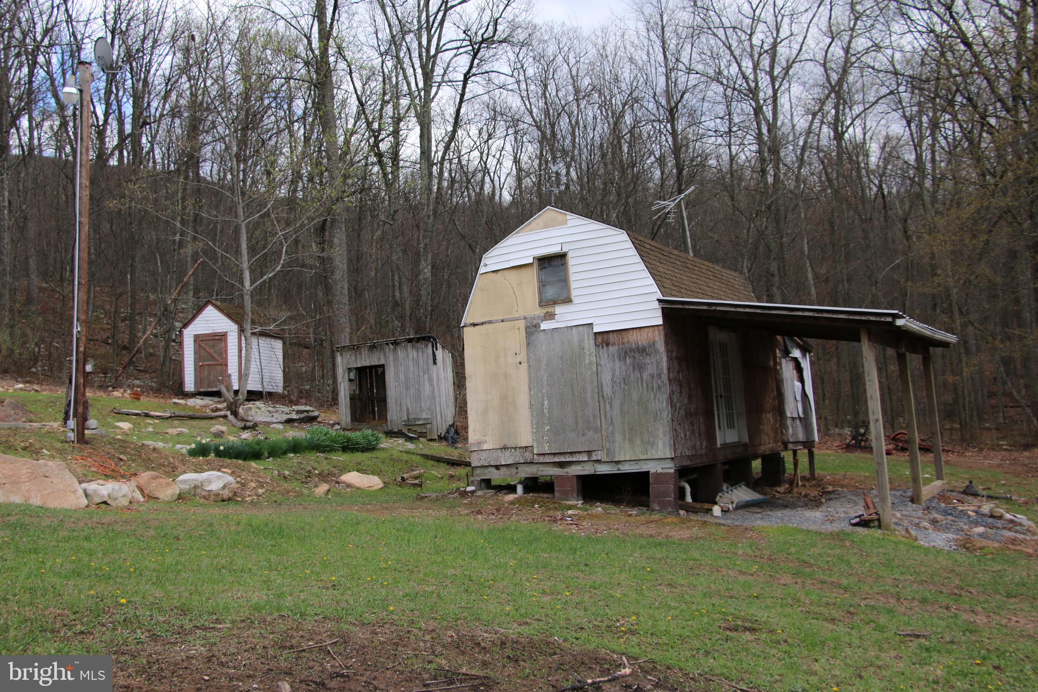 680 Sawlog Road Gore, VA 22637 - Photo 17 of 47 a view of backyard with small cabin