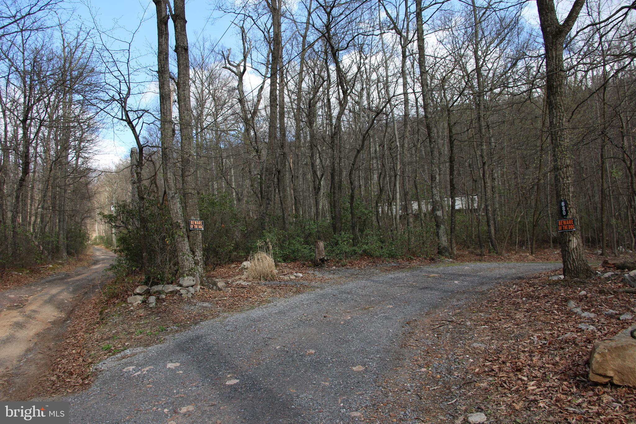 680 Sawlog Road Gore, VA 22637 - Photo 36 of 47 a view of outdoor space with trees