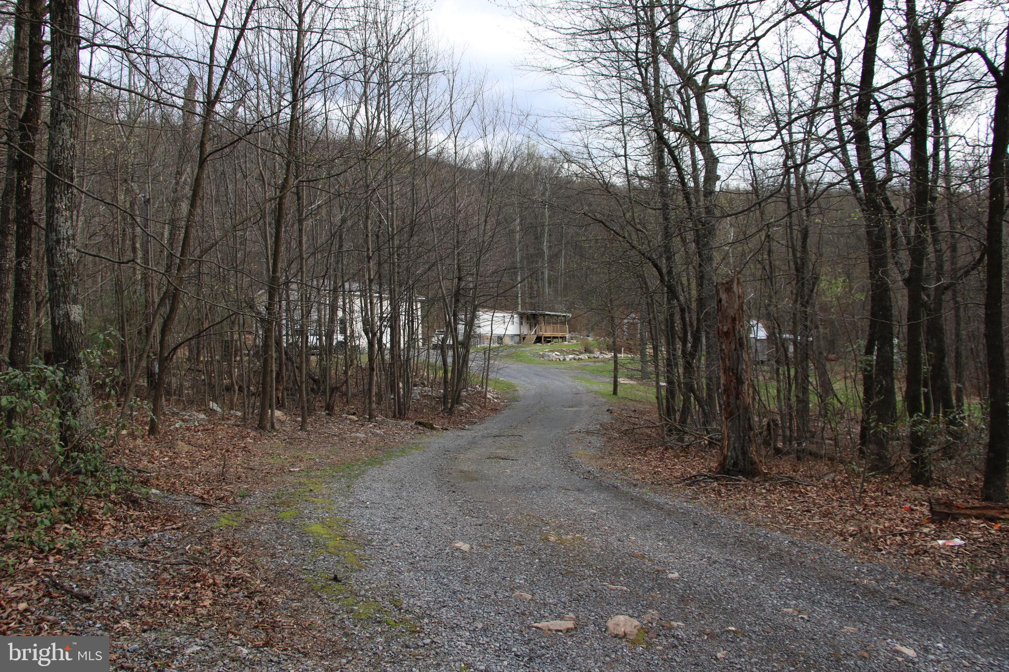 680 Sawlog Road Gore, VA 22637 - Photo 37 of 47 a view of a forest with trees in the background