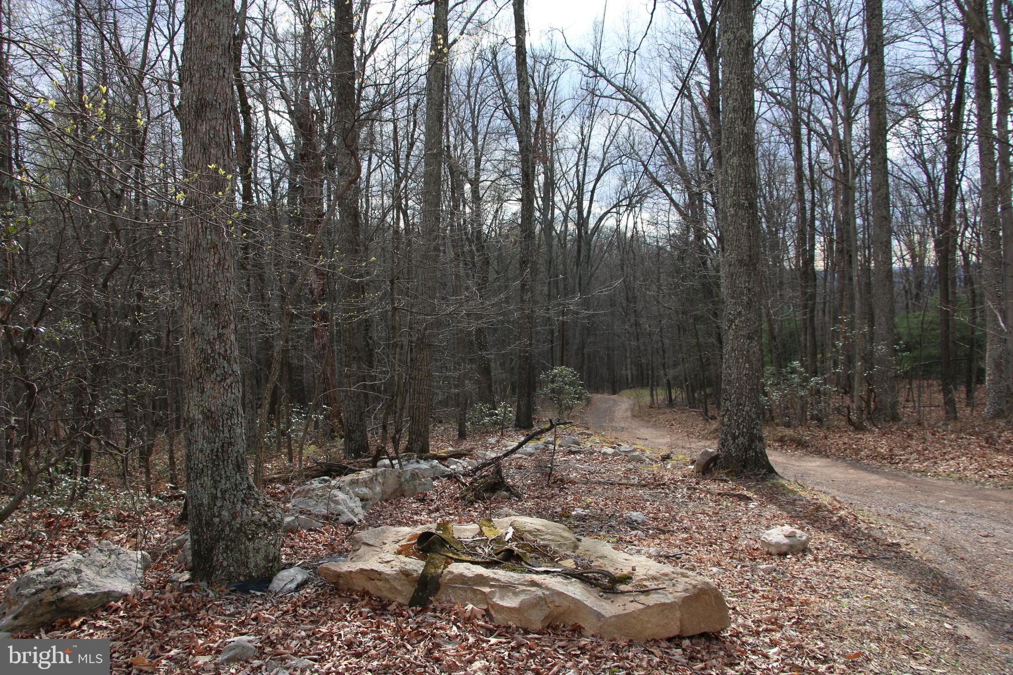 680 Sawlog Road Gore, VA 22637 - Photo 38 of 47 a view of outdoor space with lots of trees
