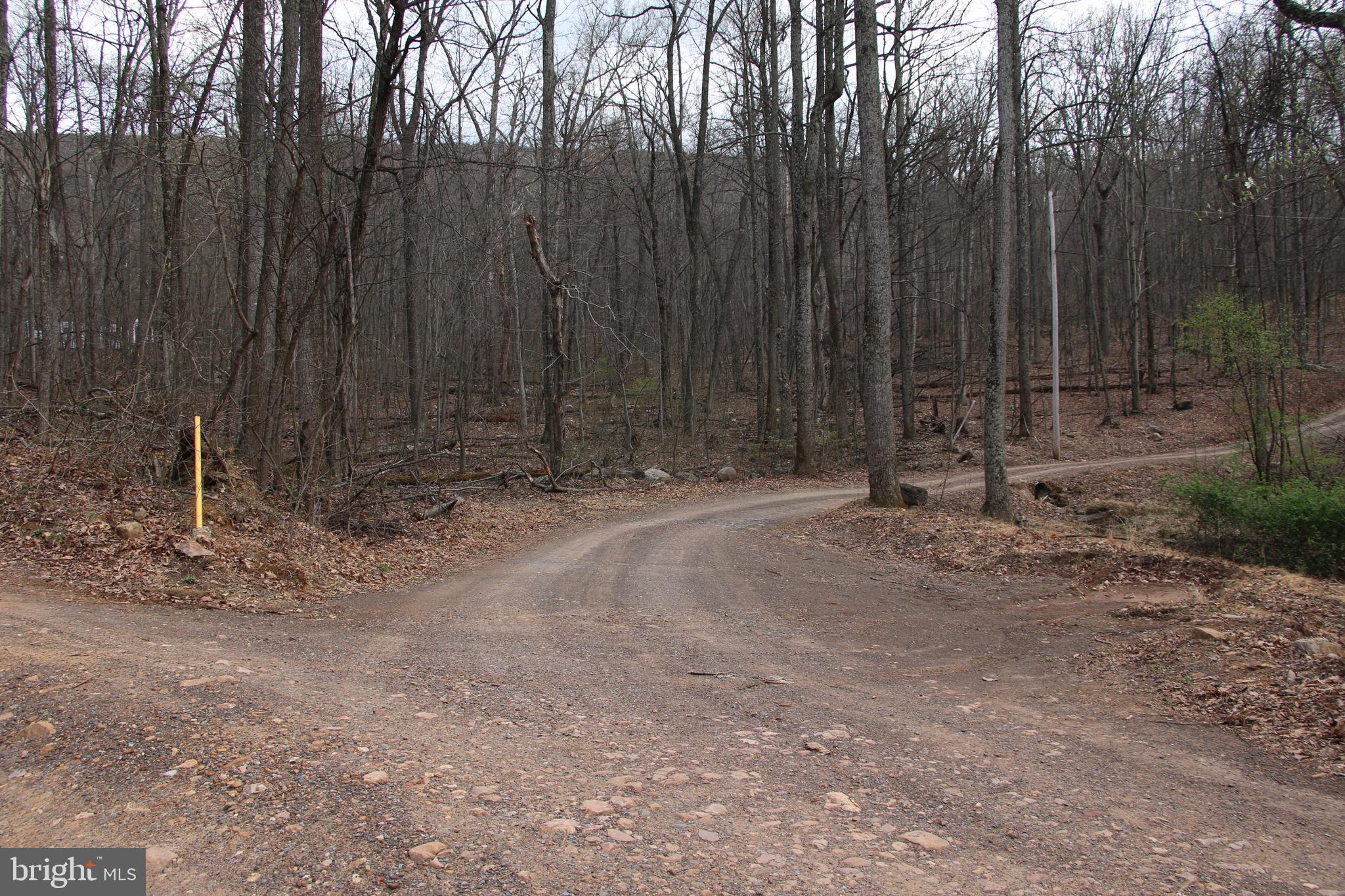 680 Sawlog Road Gore, VA 22637 - Photo 40 of 47 a view of outdoor space with wooden fence