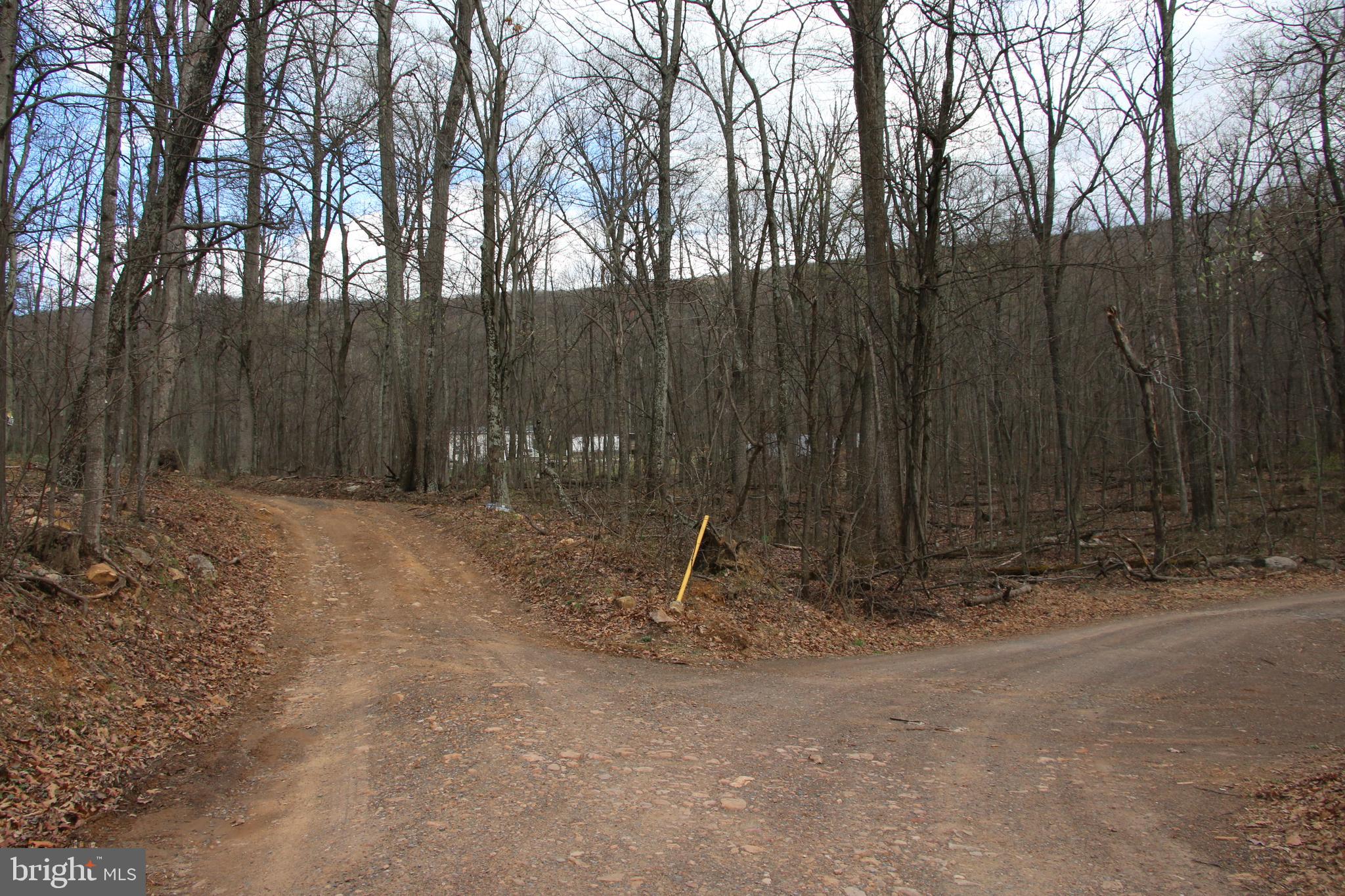 680 Sawlog Road Gore, VA 22637 - Photo 41 of 47 a backyard of a house with trees and wooden fence