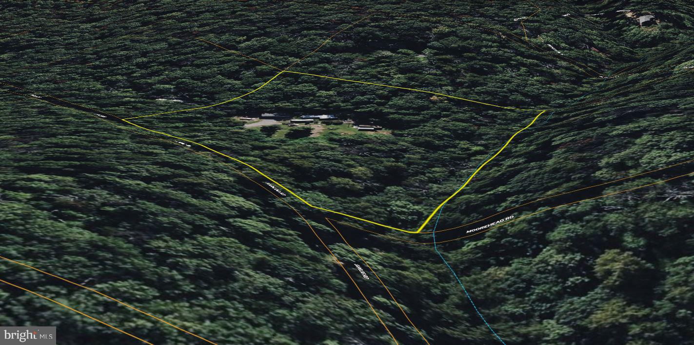 680 Sawlog Road Gore, VA 22637 - Photo 44 of 47 a view of forest