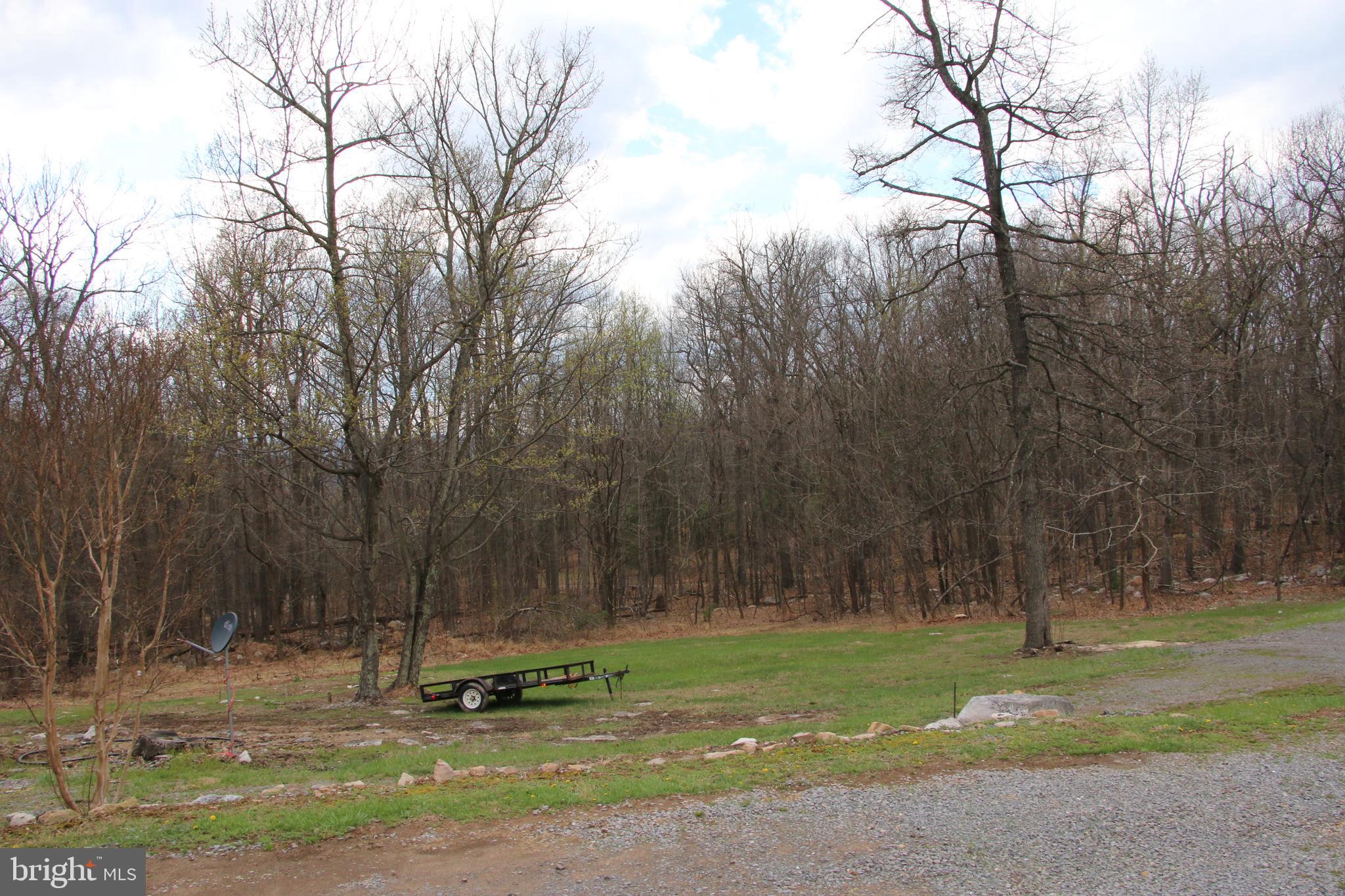 680 Sawlog Road Gore, VA 22637 - Photo 7 of 47 a backyard of a house with trees