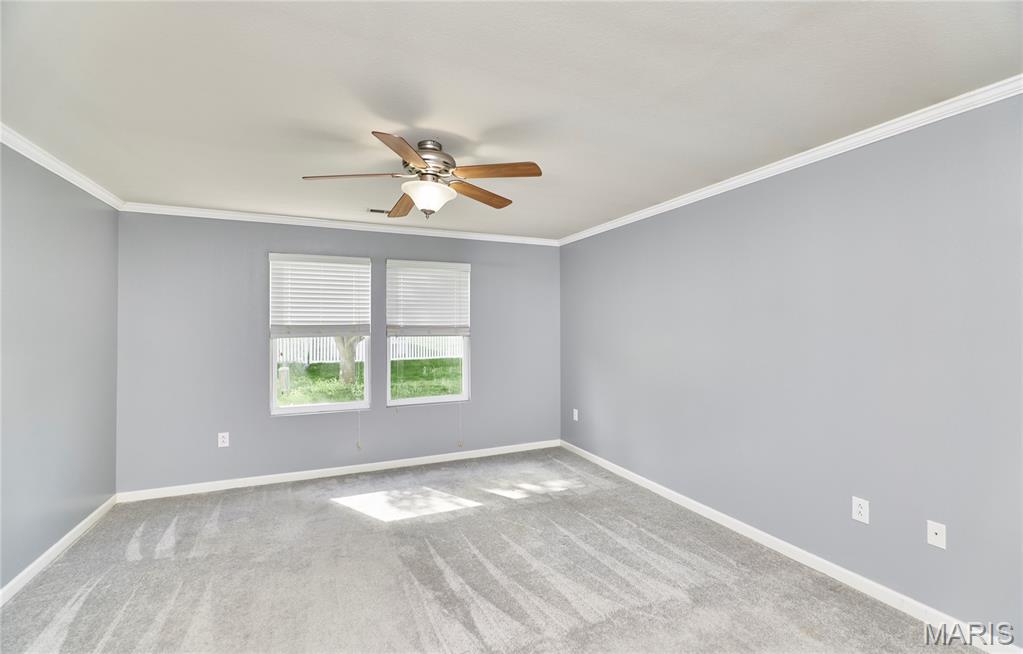 359 Falling Leaf Way Mascoutah, IL 62258 - Photo 38 of 70