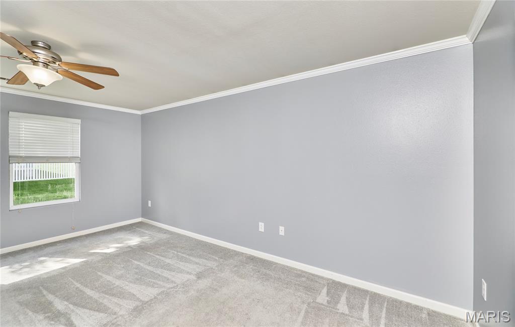 359 Falling Leaf Way Mascoutah, IL 62258 - Photo 39 of 70