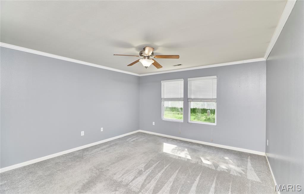 359 Falling Leaf Way Mascoutah, IL 62258 - Photo 40 of 70