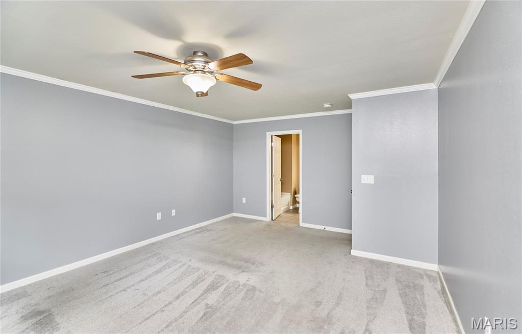 359 Falling Leaf Way Mascoutah, IL 62258 - Photo 42 of 70