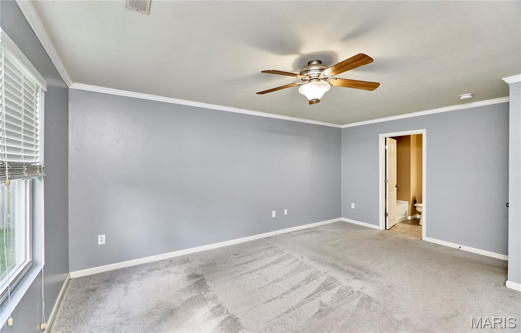 359 Falling Leaf Way Mascoutah, IL 62258 - Photo 43 of 70