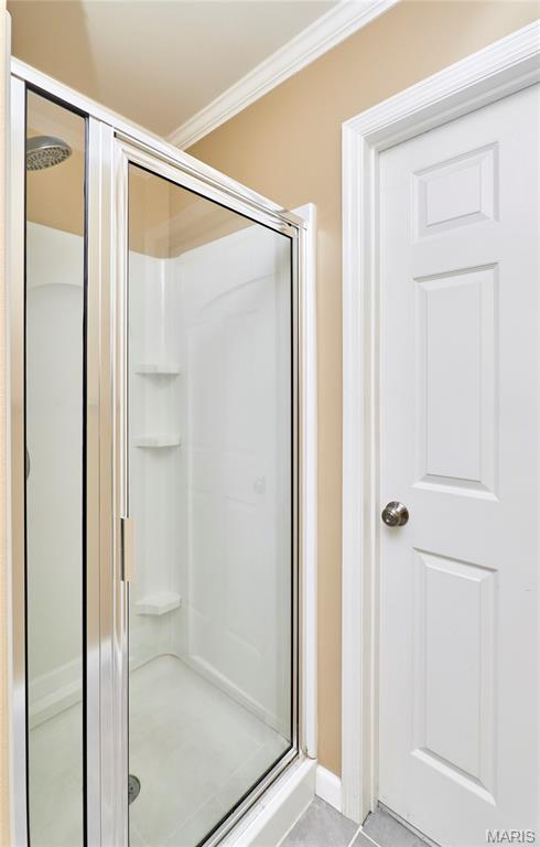 359 Falling Leaf Way Mascoutah, IL 62258 - Photo 47 of 70