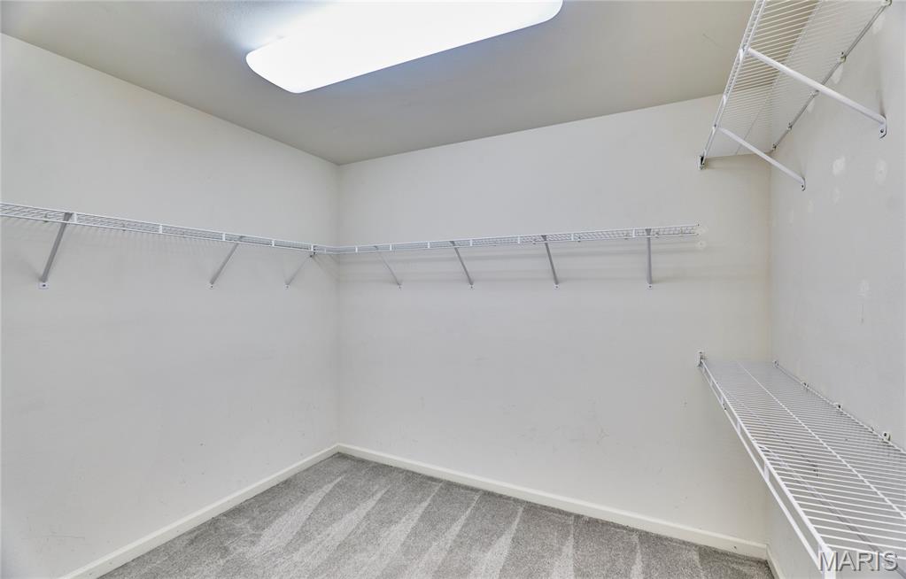 359 Falling Leaf Way Mascoutah, IL 62258 - Photo 48 of 70