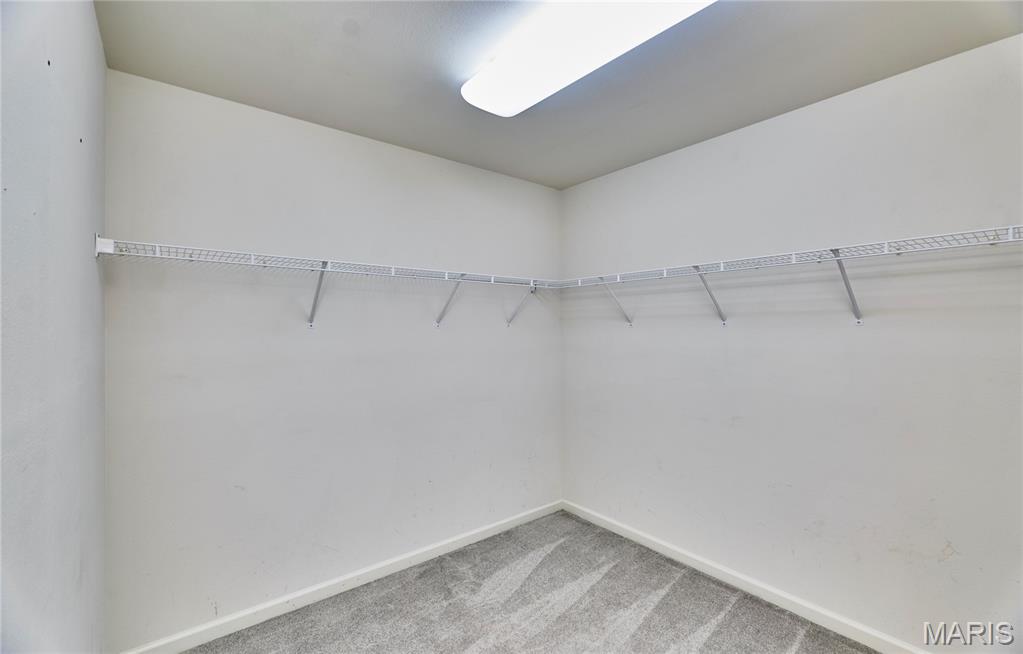 359 Falling Leaf Way Mascoutah, IL 62258 - Photo 49 of 70