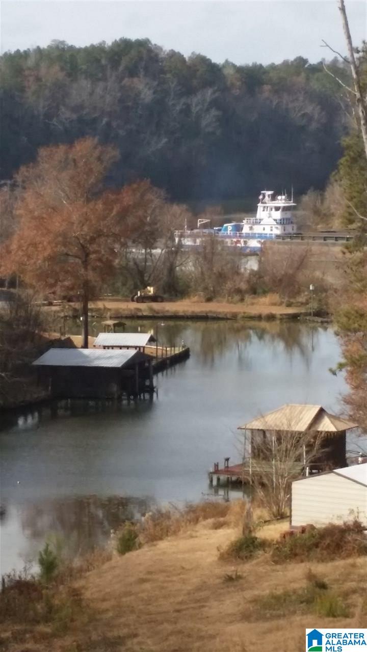 9091 Manley Vines Camp Road Bessemer, AL 35023 - Photo 7 of 15