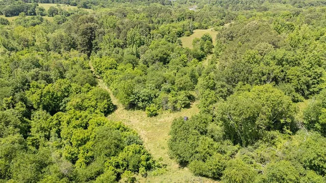 a view of a small yard