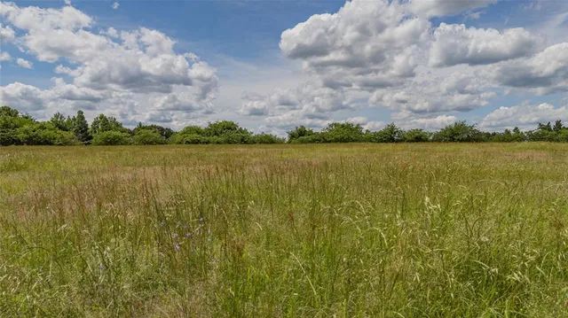 a view of outdoor space and yard