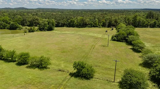 a view of a field with trees in the background