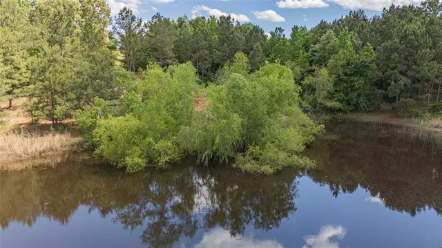 a view of outdoor space and trees
