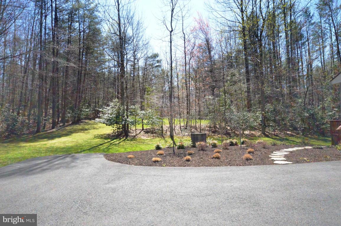 6647 Fox Den Road Manassas, VA 20112 - Photo 22 of 24 Wooded Backyard