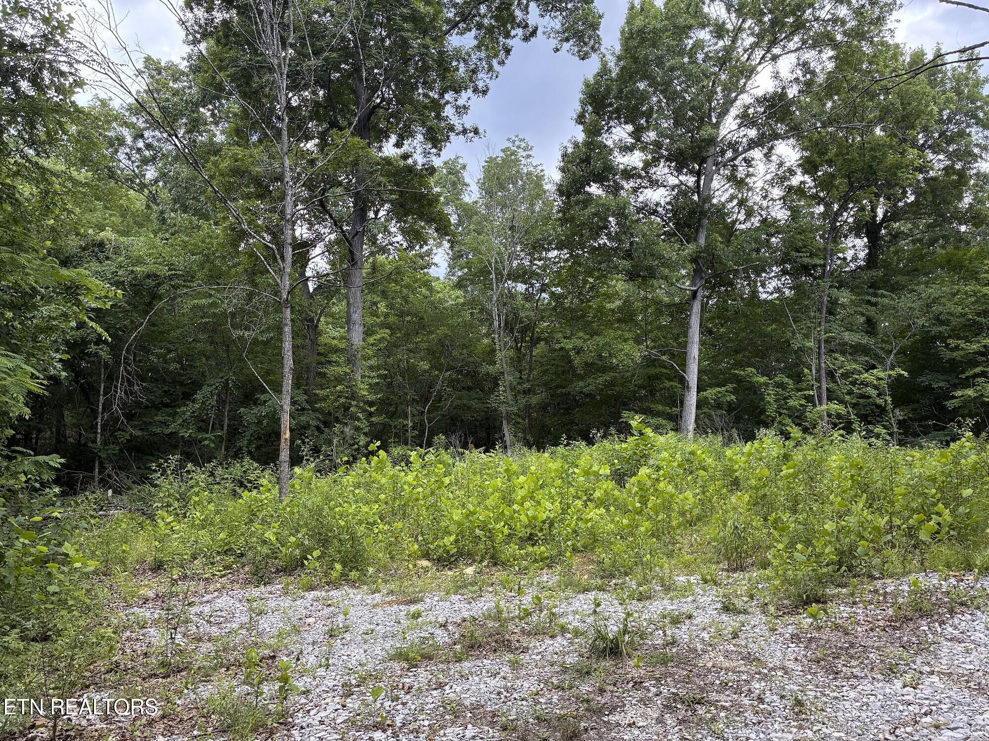 2147 Belt Road Knoxville, TN 37920 - Photo 2 of 14 2b