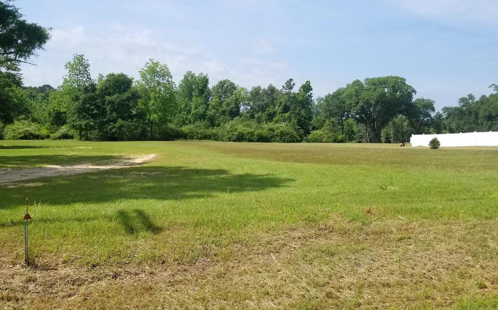 6.3-acres Skipper Road Dothan, AL 36301 - Photo 3 of 7