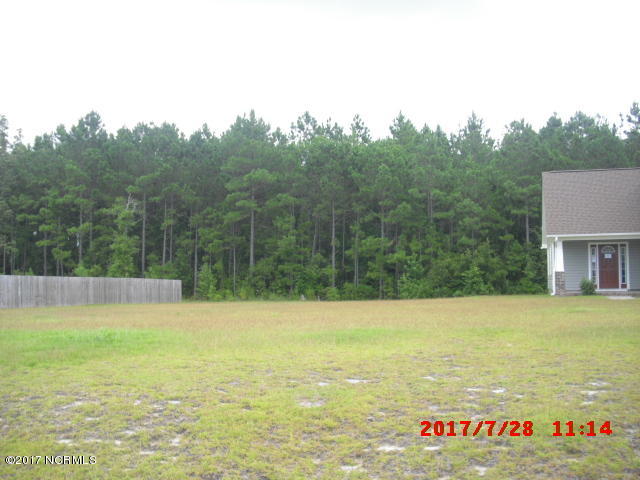 313 Springcreek Court Hubert, NC 28539 - Photo 3 of 39 08042017 004