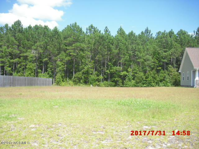 313 Springcreek Court Hubert, NC 28539 - Photo 8 of 39 08042017 018
