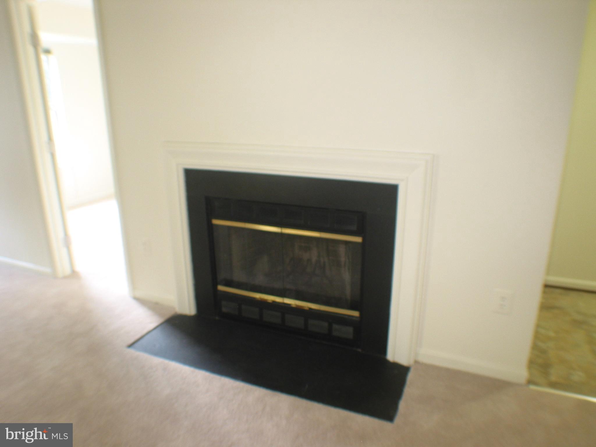 14905 Cleese Court, Unit E Silver Spring, MD 20906 - Photo 8 of 18 Fireplace