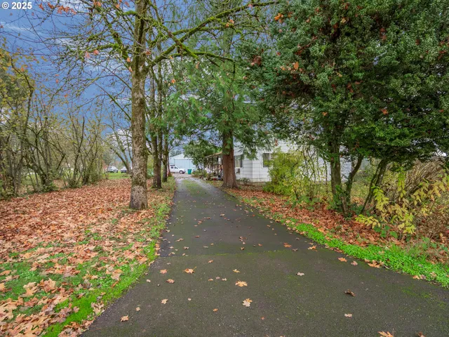 a view of a backyard of the house