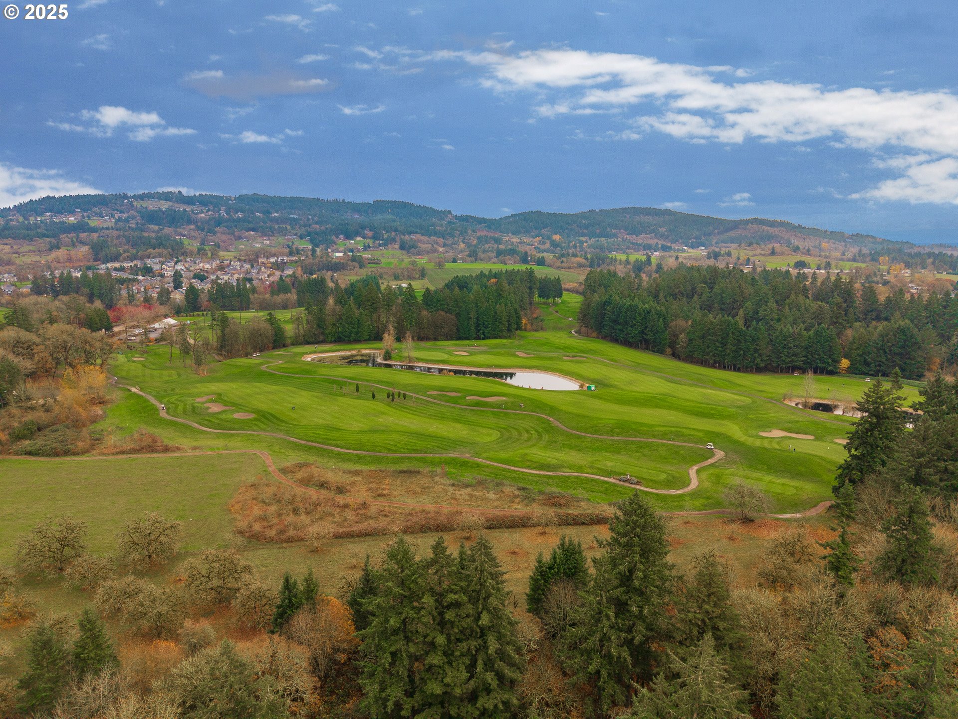 3312 East Fernwood Road Newberg, OR 97132 - Photo 18 of 23 a view of a city