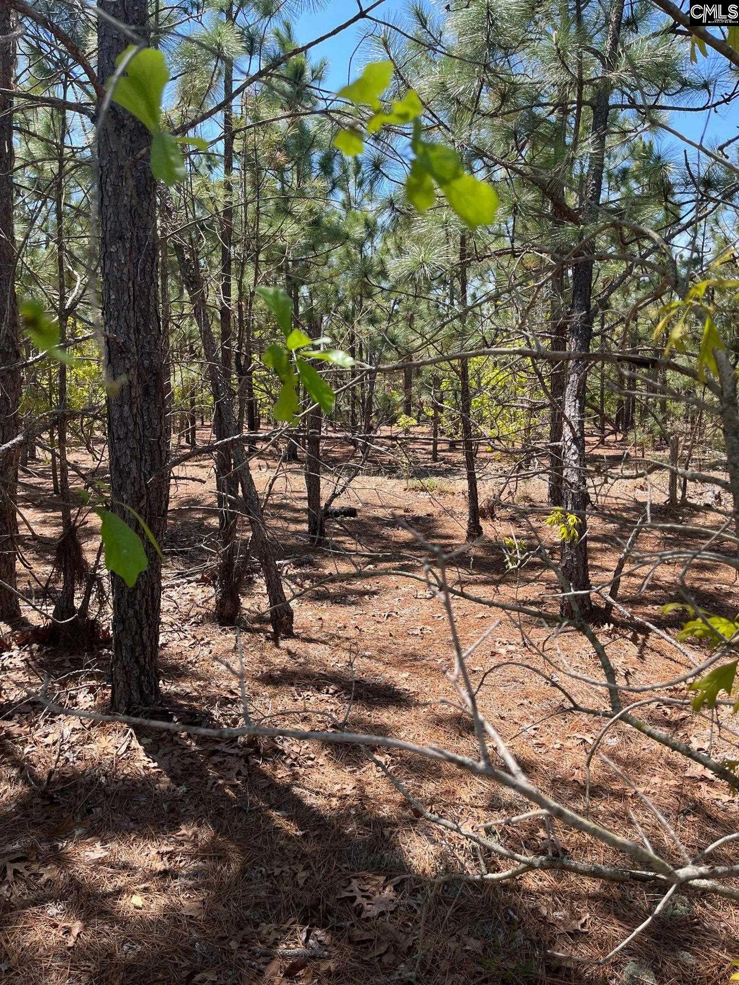 1 Beaver Dam Road Cassatt, SC 29032 - Photo 3 of 7