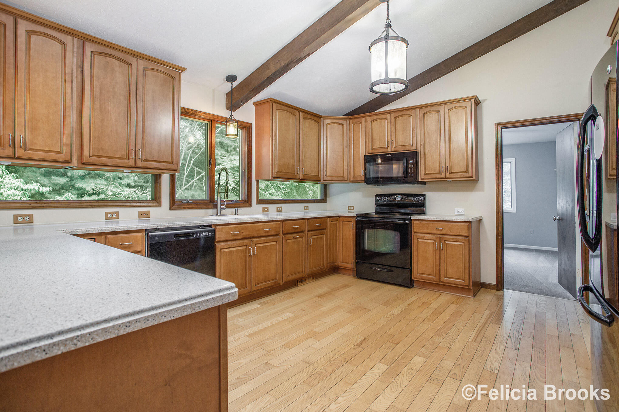 5950 West Hart Road Hastings, MI 49058 - Photo 6 of 25 DNG-29