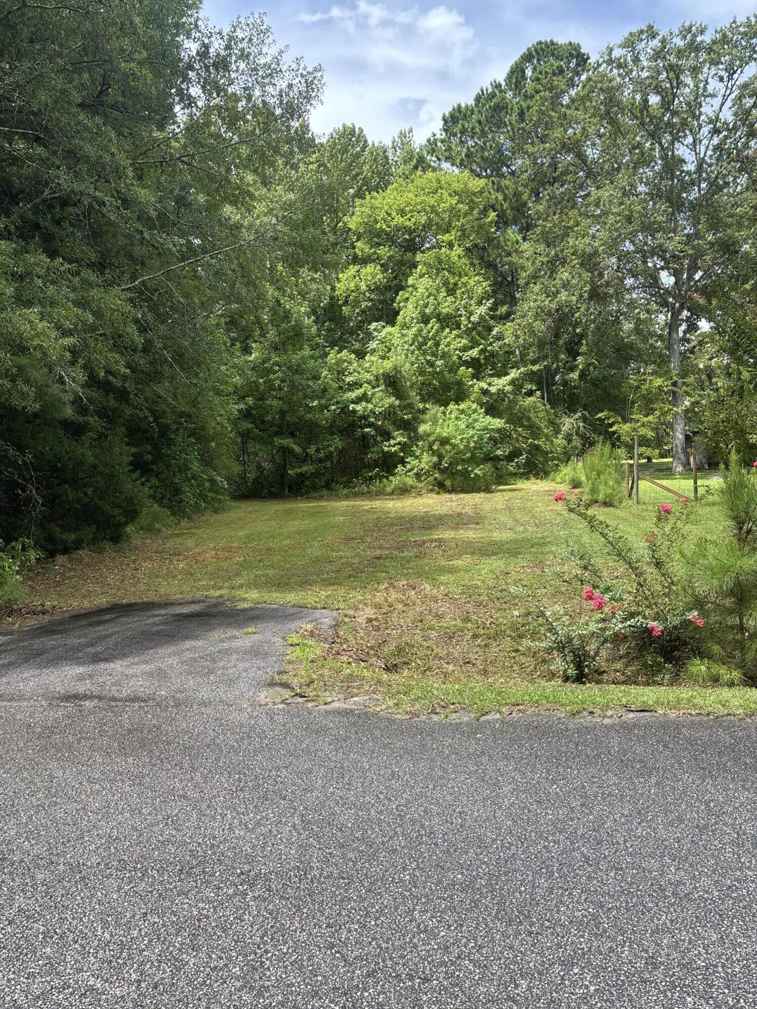 153 Rutledge Drive Eutawville, SC 29048 - Photo 5 of 11 Gallery Image 5