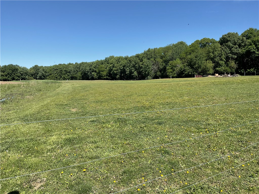 2613 North 800 E Road Moweaqua, IL 62550 - Photo 18 of 19