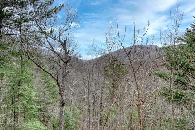 305 Rileigh Ridge Blairsville, GA 30512 - Photo 3 of 60 Gallery Image 3