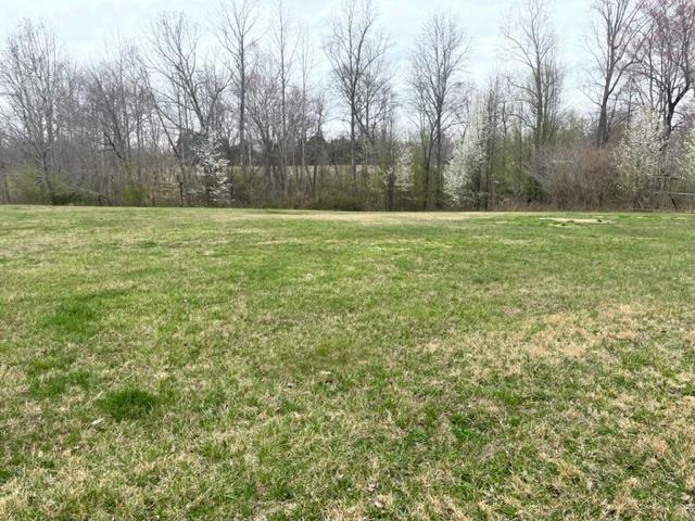 301 Wheat Road Columbia, KY 42728 - Photo 4 of 21 1258637-3