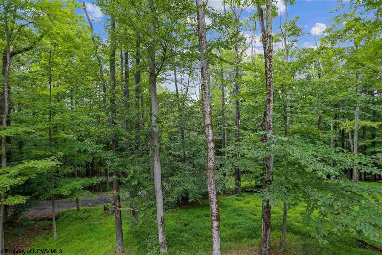 806 Cabin Mountain Road Davis, WV 26260 - Photo 30 of 30 Gallery Image 30