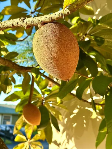 a view of a indoor basketball court