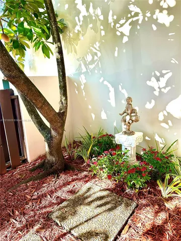 a view of a flower in a yard