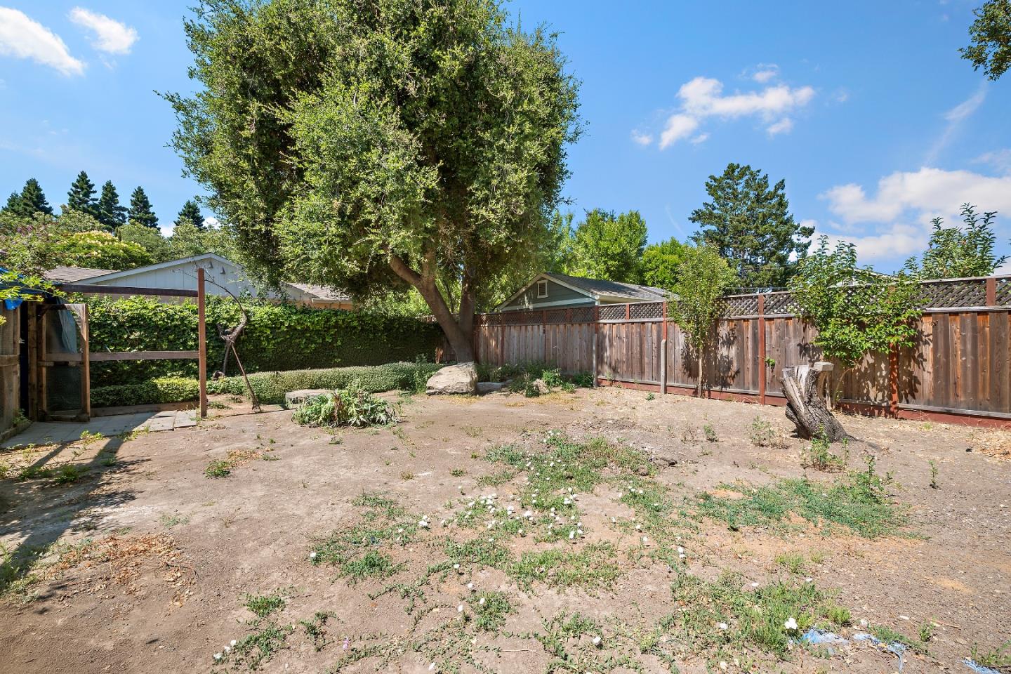 560 Franklin Street Mountain View, CA 94041 - Photo 19 of 22 a view of a house with a backyard and a tree