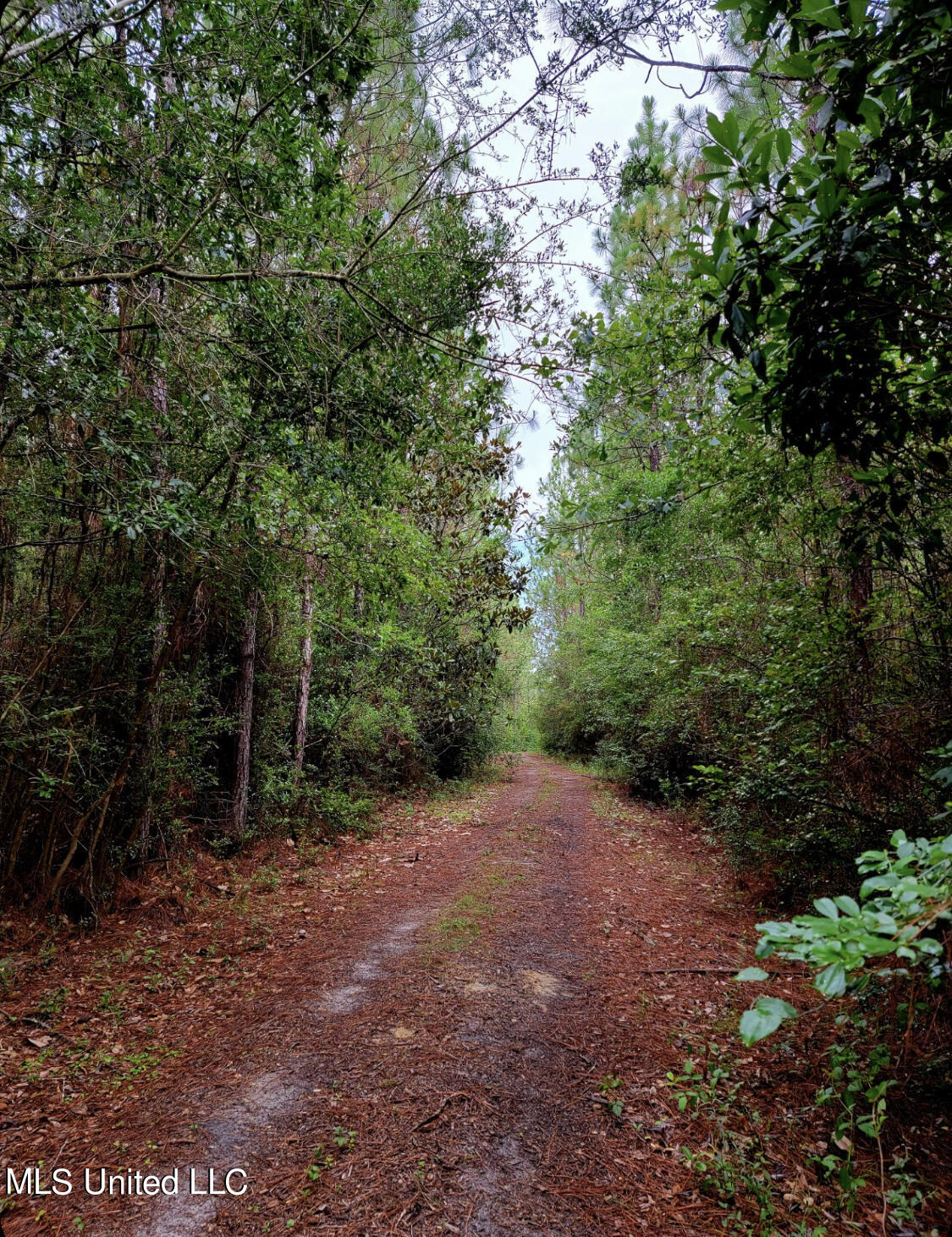 Mcgregor Road Vancleave, MS 39565 - Photo 1 of 15 4B4AFE1C-1B25-42F2-A0DF-73523F4E3FDE