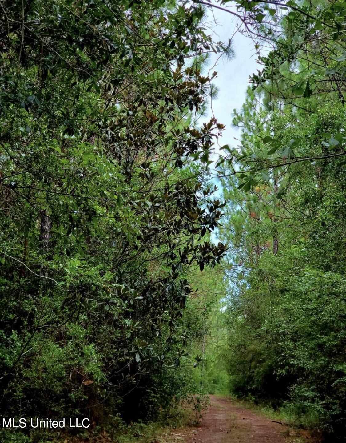Mcgregor Road Vancleave, MS 39565 - Photo 11 of 15 7B467ABE-A5C5-4105-ABAB-B1B49382566C