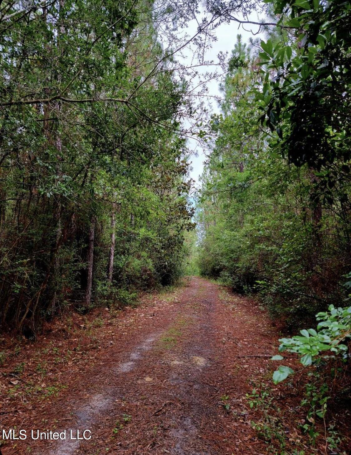Mcgregor Road Vancleave, MS 39565 - Photo 13 of 15 7195CEE2-A707-4ADB-A82F-AEE2E2455B89