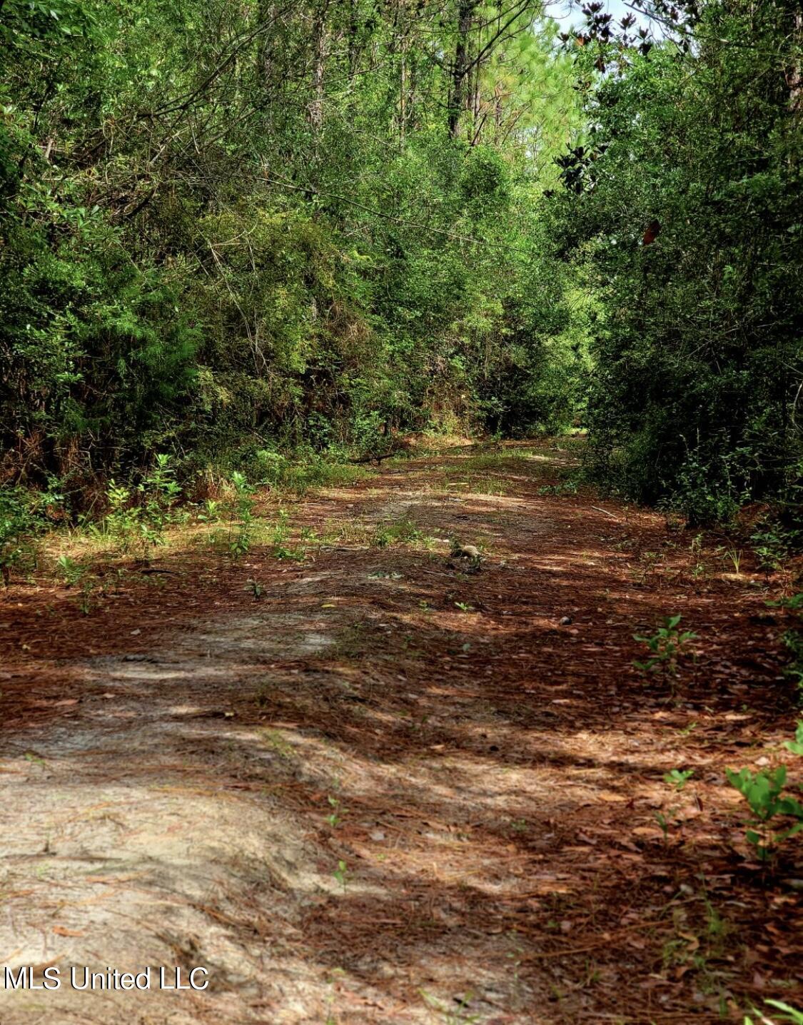Mcgregor Road Vancleave, MS 39565 - Photo 4 of 15 IMG_2447