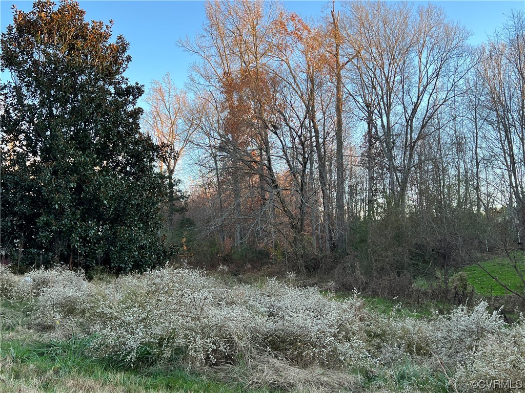 500 Parsons Road Chase City, VA 23924 - Photo 12 of 12 Gallery Image 12
