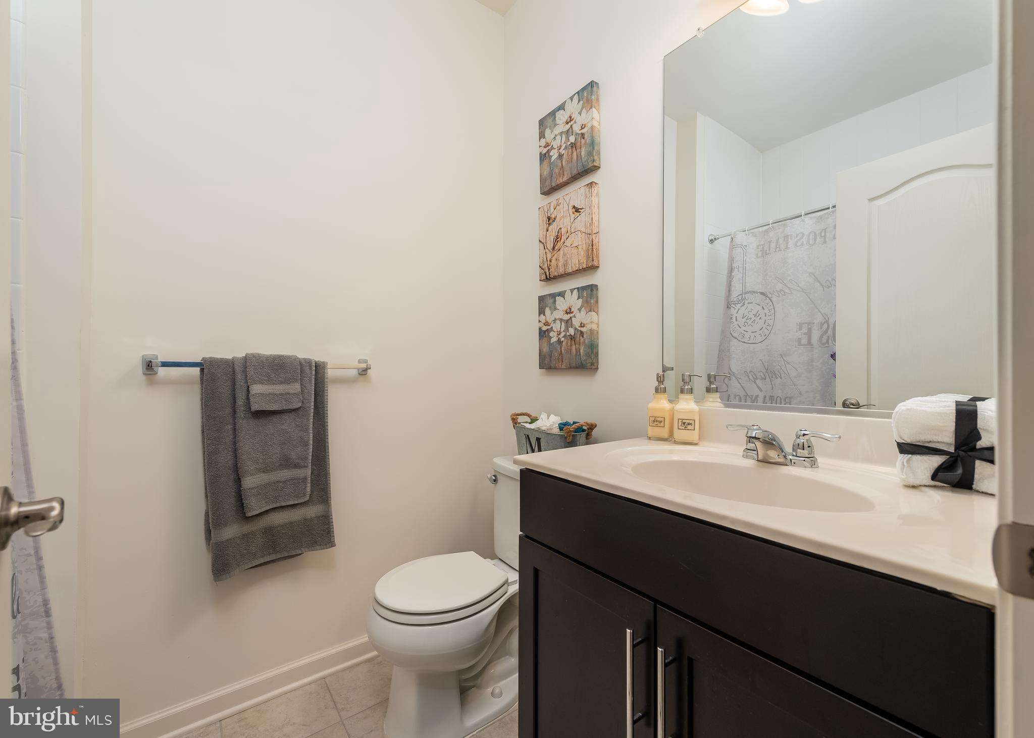 9780 Peace Spgs Ridge Laurel, MD 20723 - Photo 17 of 30 Lower level bathroom