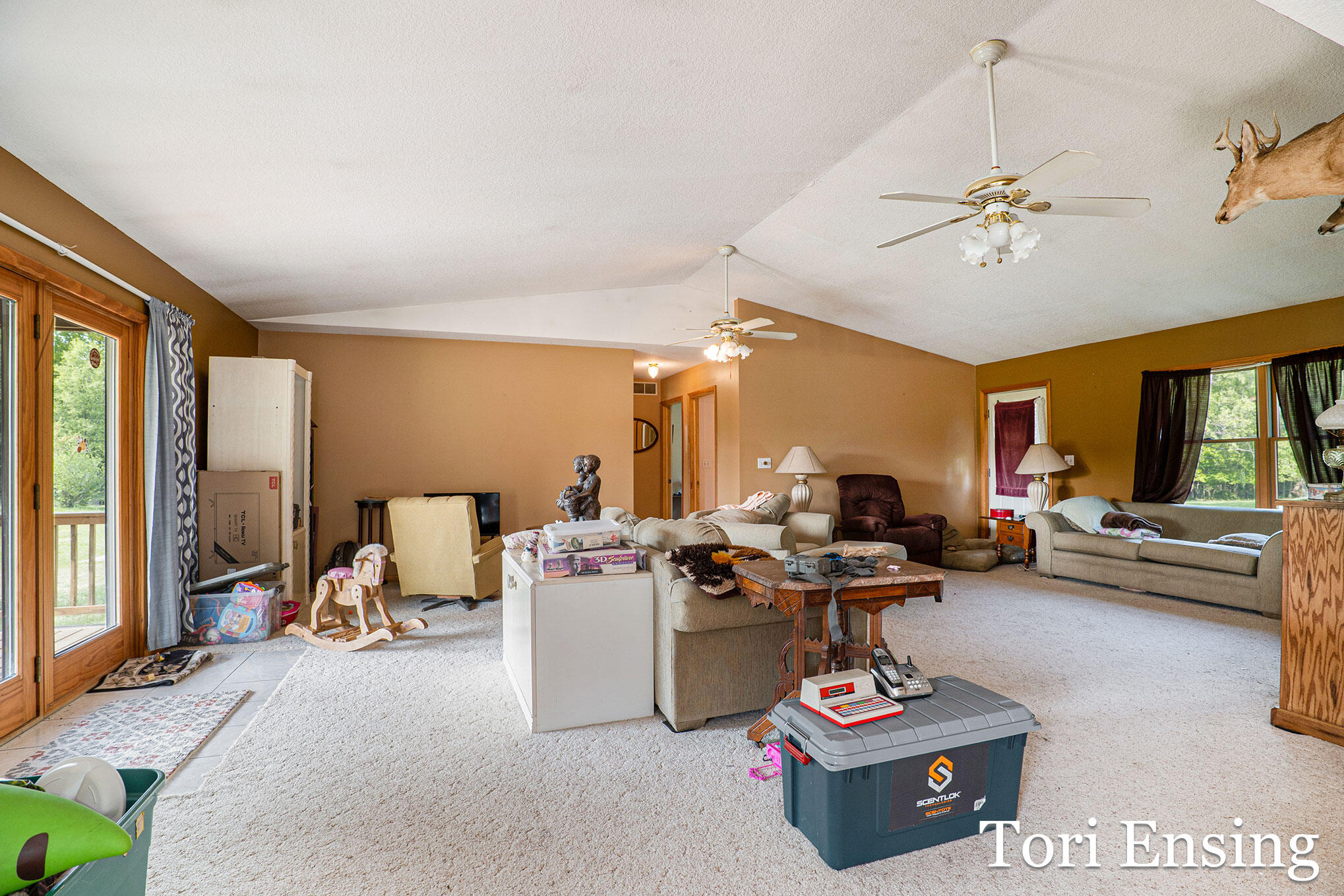 10423 East Klees Road Crystal, MI 48818 - Photo 5 of 29 klees-13